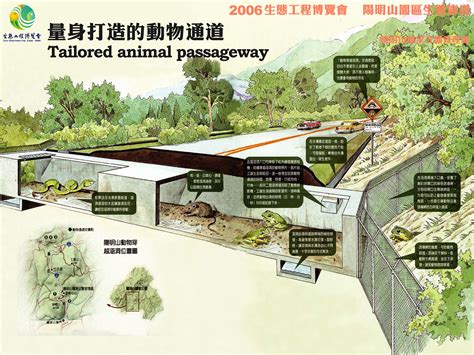 胡蜂蜂窩 廊道走廊設計